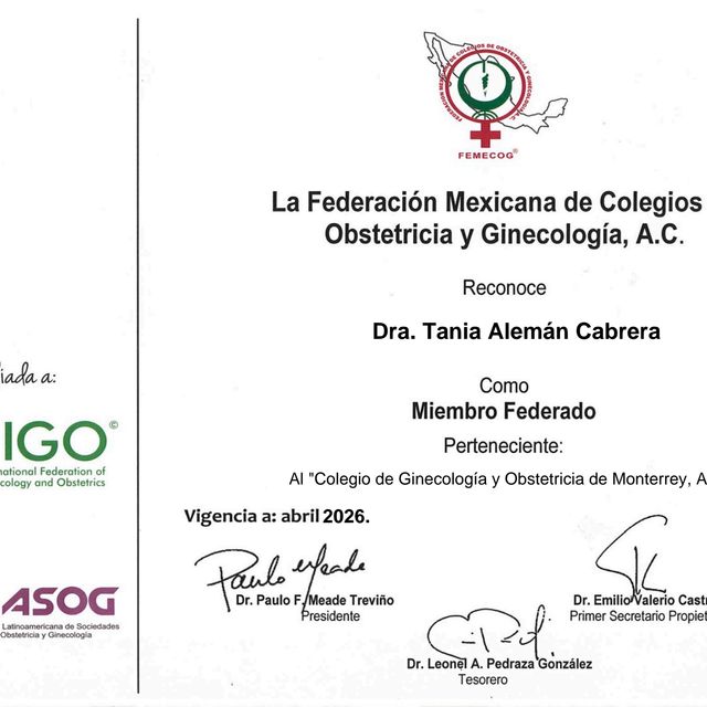 Ampliar imagen: certificate 2