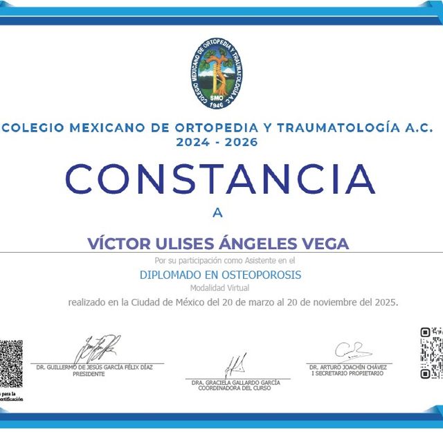 Ampliar imagen: certificate 8