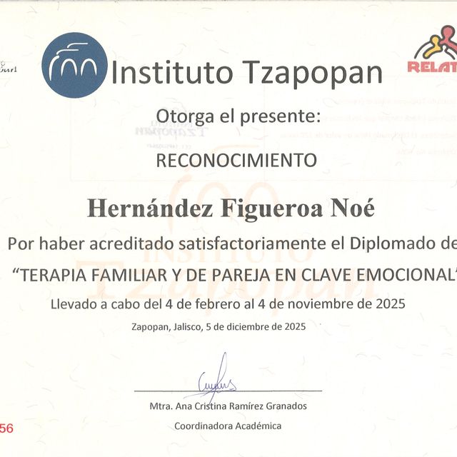 Ampliar imagen: certificate 21