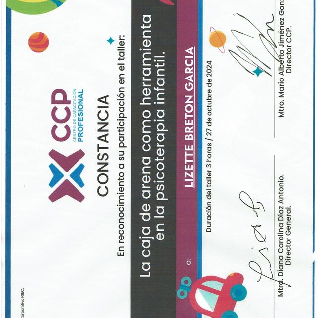 Ampliar imagen: certificate 22