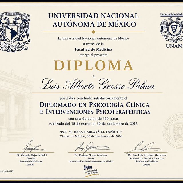 Ampliar imagen: certificate 2