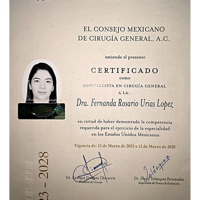 Ampliar imagen: certificate 2