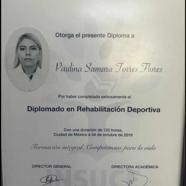 Ampliar imagen: certificate 17