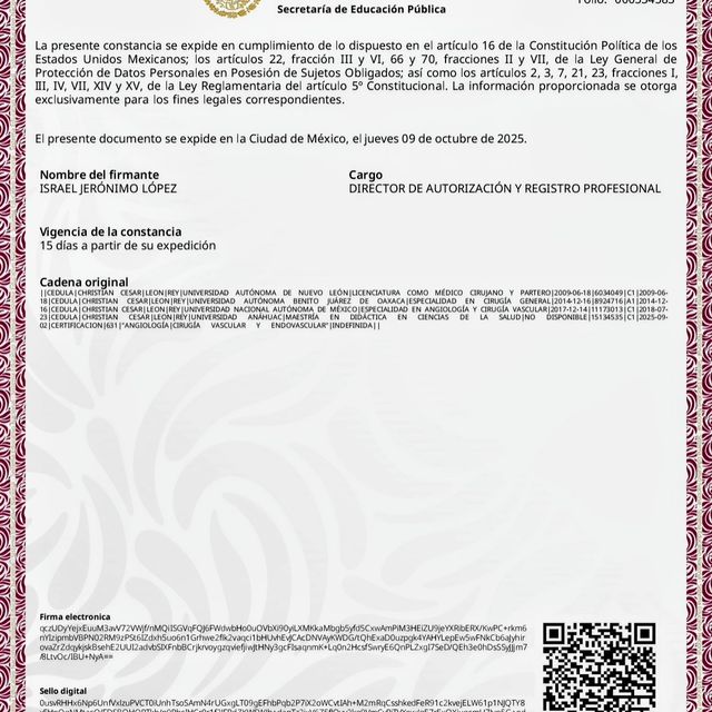 Ampliar imagen: certificate 13