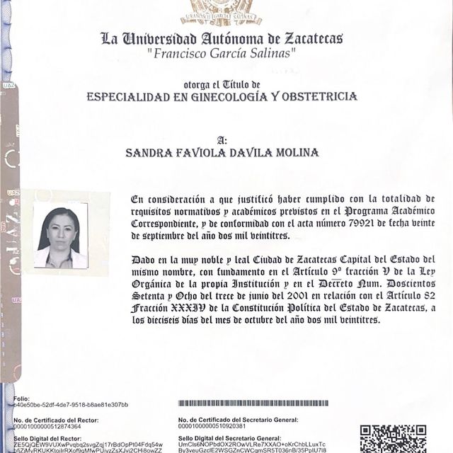 Ampliar imagen: certificate 3