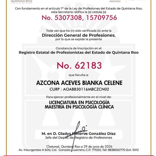 Ampliar imagen: certificate 1