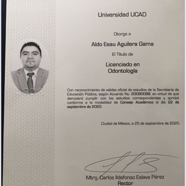 Ampliar imagen: certificate 3