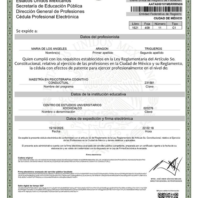 Ampliar imagen: certificate 2