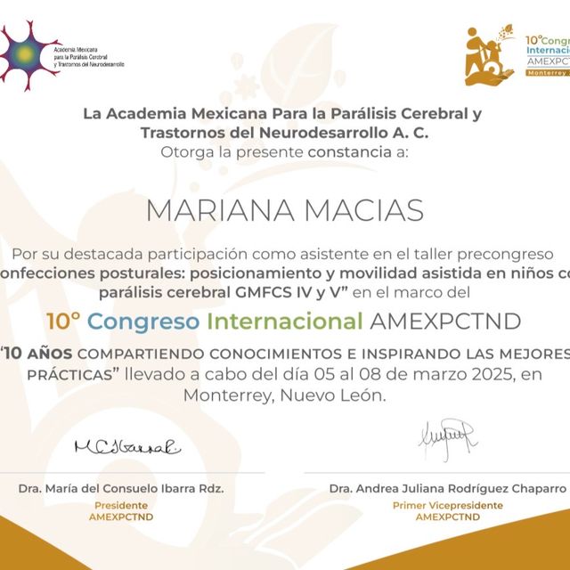 Ampliar imagen: certificate 4