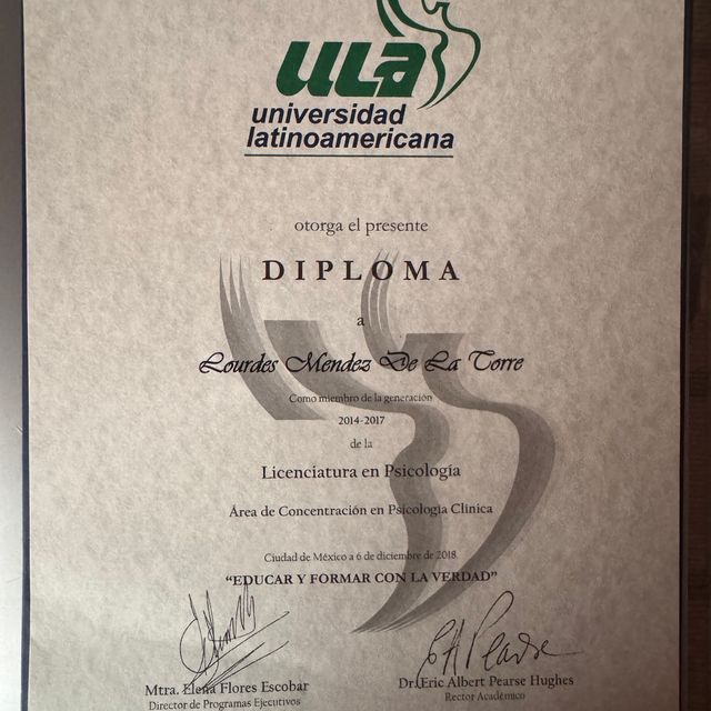 Ampliar imagen: certificate 3