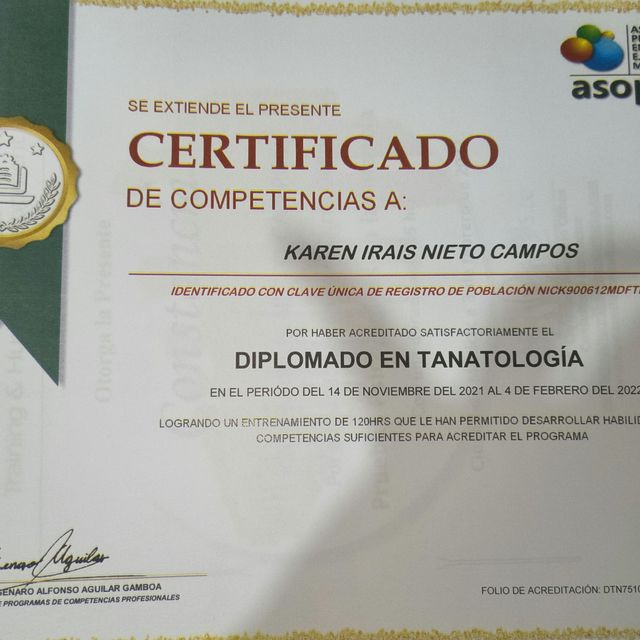 Ampliar imagen: certificate 6