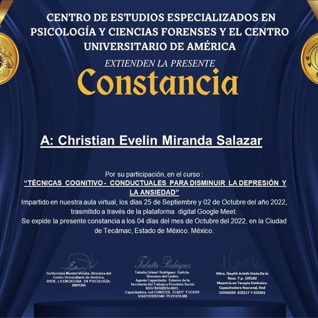 Ampliar imagen: certificate 6