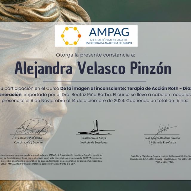 Ampliar imagen: certificate 1