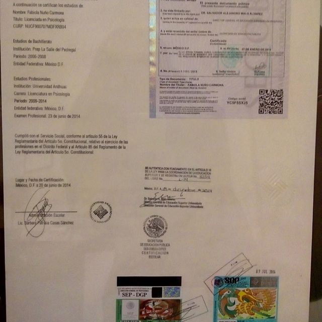 Ampliar imagen: certificate 6