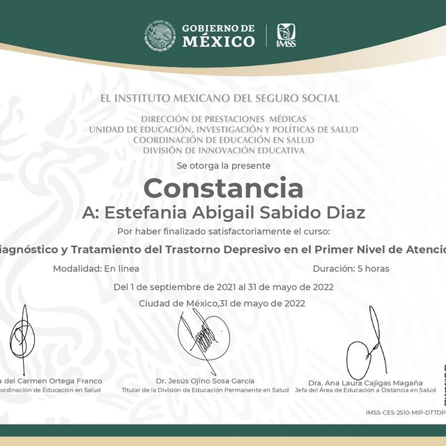 Ampliar imagen: certificate 6