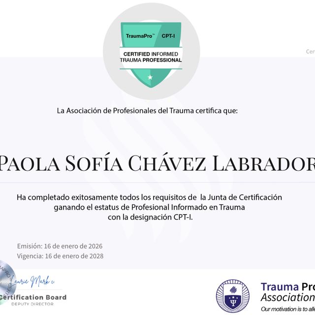 Ampliar imagen: certificate 2