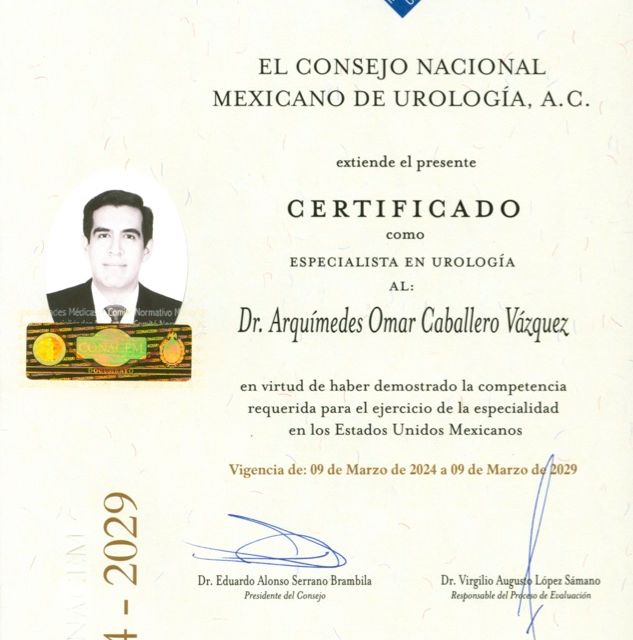 Ampliar imagen: certificate 3