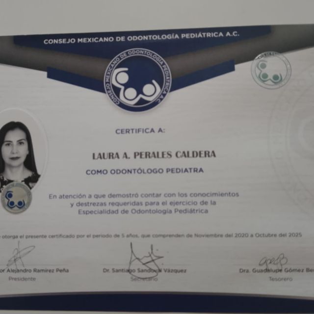 Ampliar imagen: certificate 2