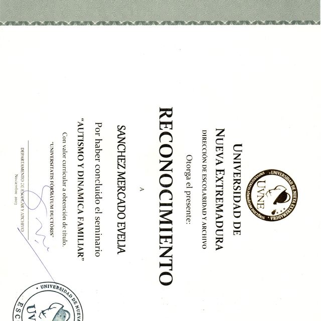 Ampliar imagen: certificate 6