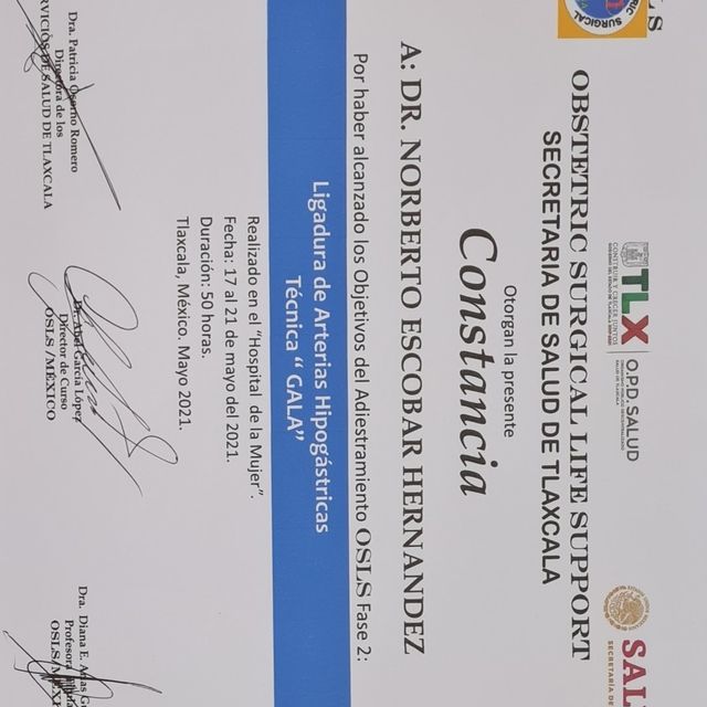 Ampliar imagen: certificate 14