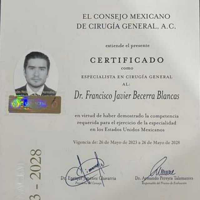 Ampliar imagen: certificate 1