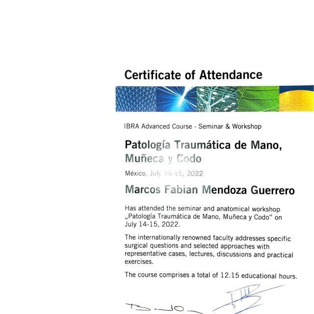 Ampliar imagen: certificate 12