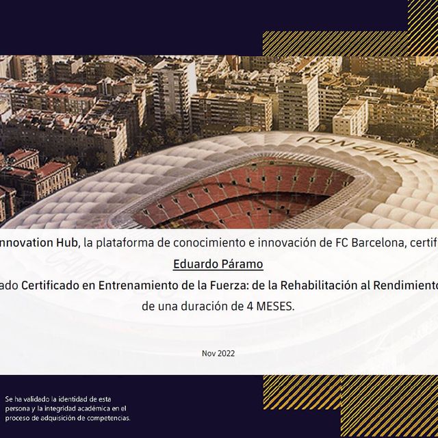 Ampliar imagen: certificate 3