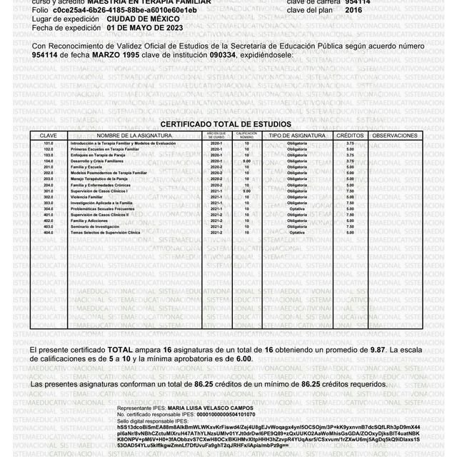 Ampliar imagen: certificate 1