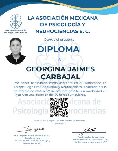 Ampliar imagen: certificate 11