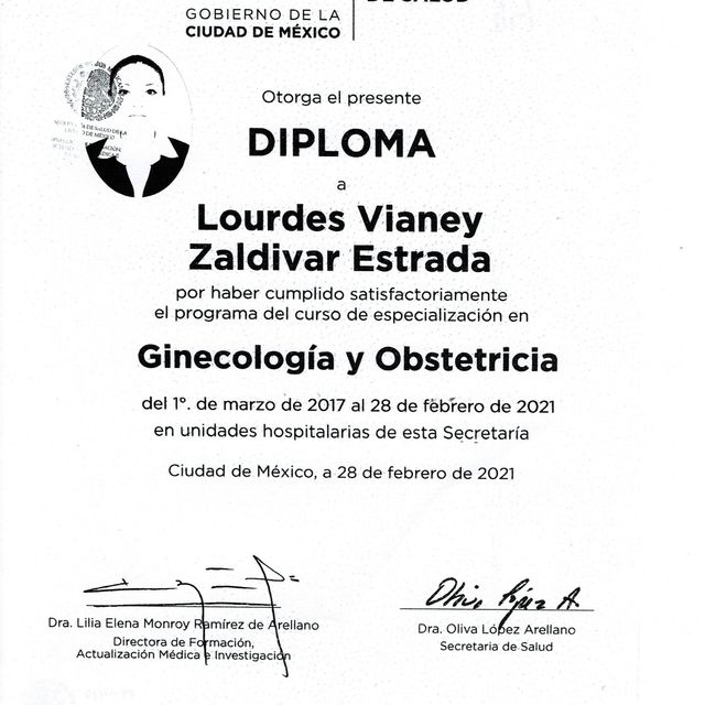 Ampliar imagen: certificate 6