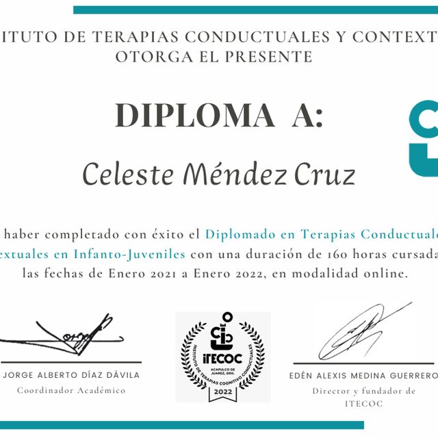 Ampliar imagen: certificate 1
