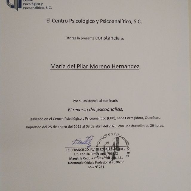 Ampliar imagen: certificate 23