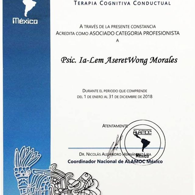Ampliar imagen: certificate 10