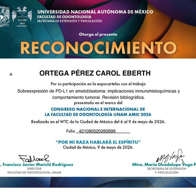 Ampliar imagen: certificate 2