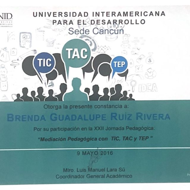 Ampliar imagen: certificate 4