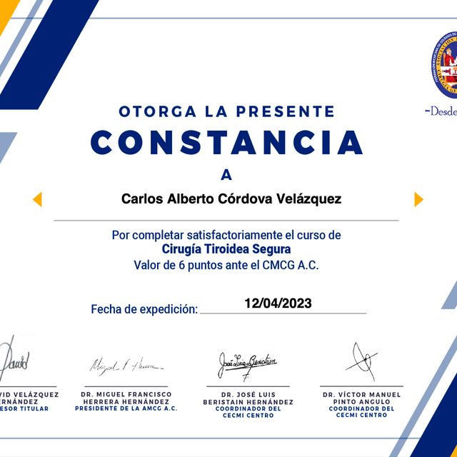 Ampliar imagen: certificate 13
