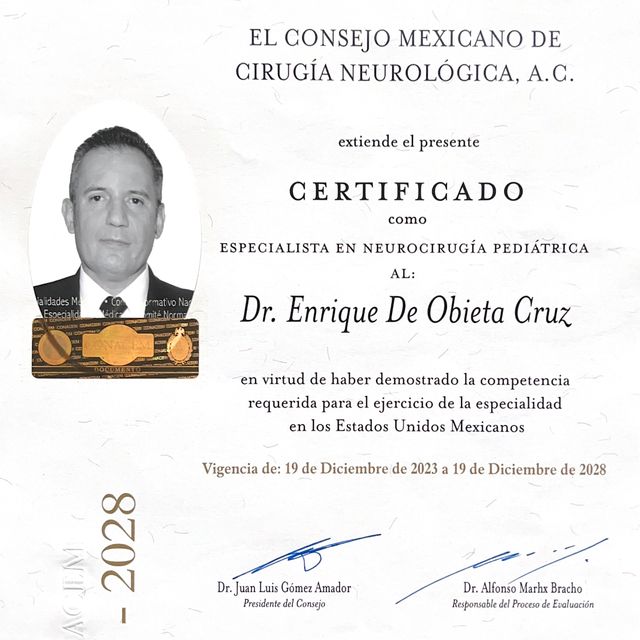 Ampliar imagen: certificate 6