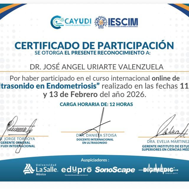 Ampliar imagen: certificate 4
