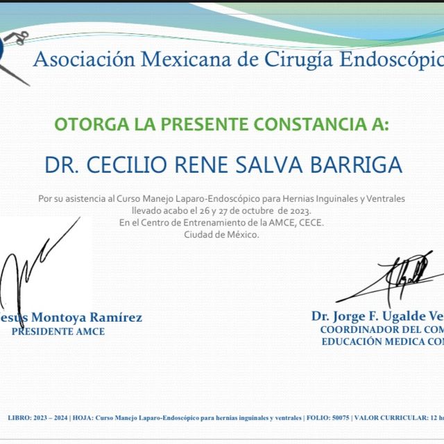 Ampliar imagen: certificate 4