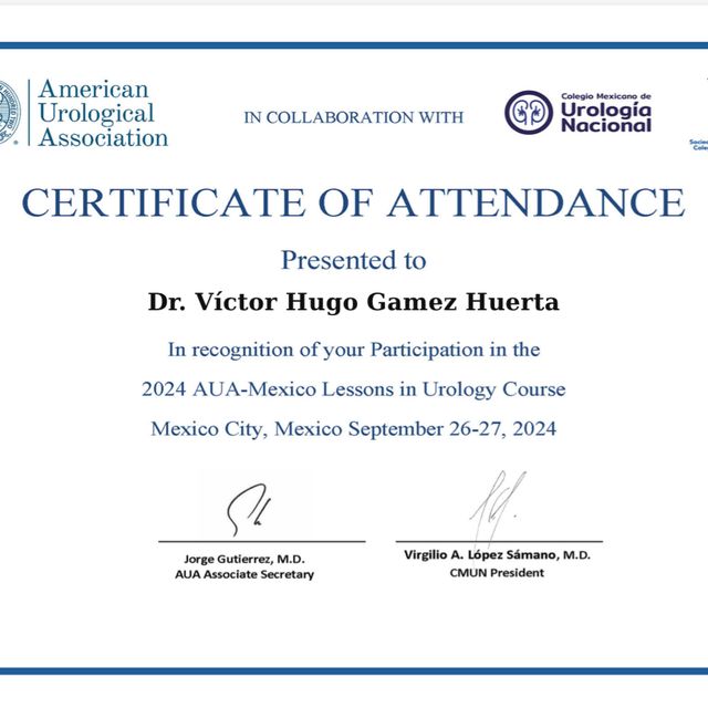 Ampliar imagen: certificate 6