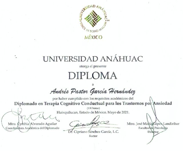 Ampliar imagen: certificate 3