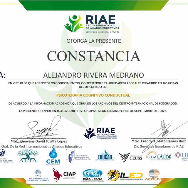 Ampliar imagen: certificate 3