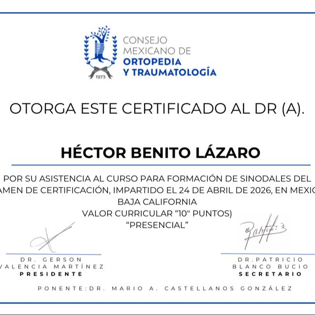 Ampliar imagen: certificate 16
