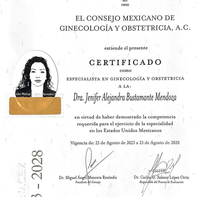 Ampliar imagen: certificate 3