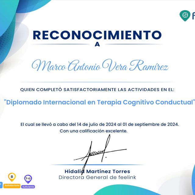 Ampliar imagen: certificate 5