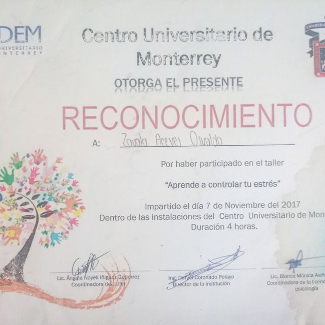 Ampliar imagen: certificate 4