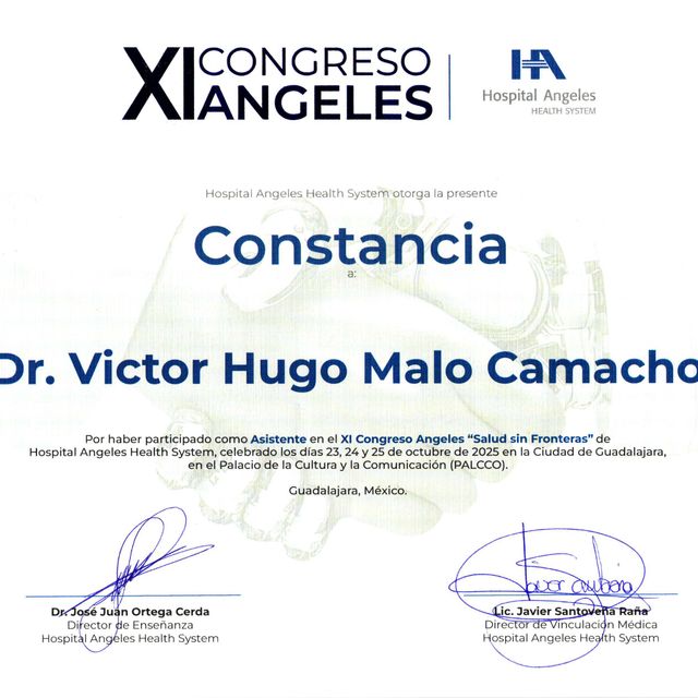 Ampliar imagen: certificate 2