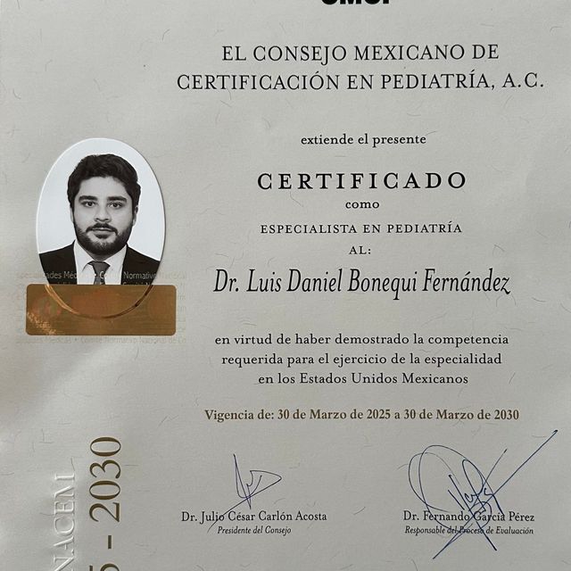 Ampliar imagen: certificate 5