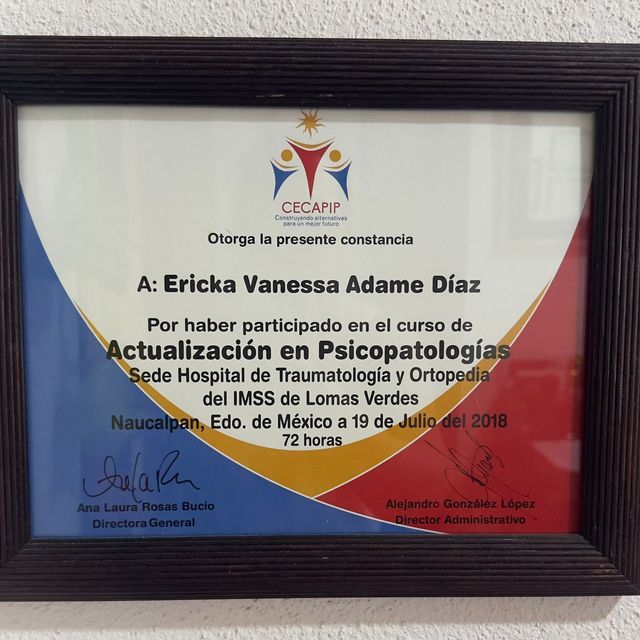 Ampliar imagen: certificate 4