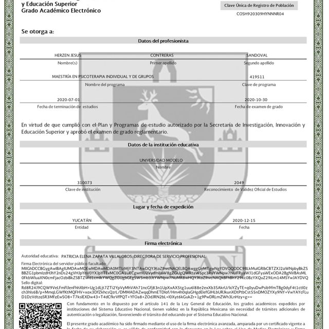 Ampliar imagen: certificate 3